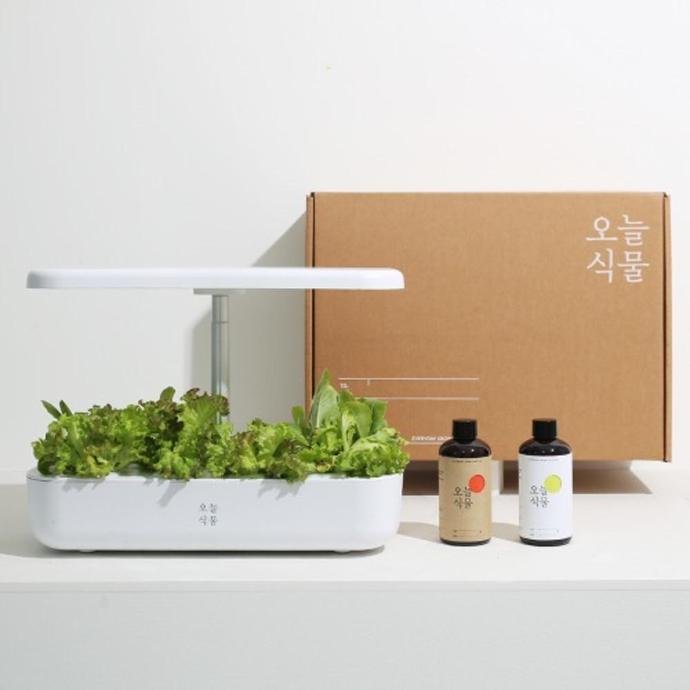 오늘식물 식물재배기 수경재배기 기프트패키지