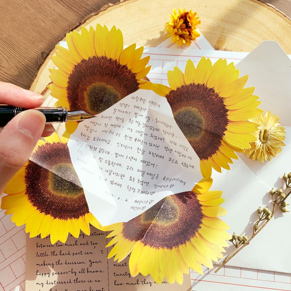 프로포즈편지 예단편지 특별한 꽃 편지지 해바라기