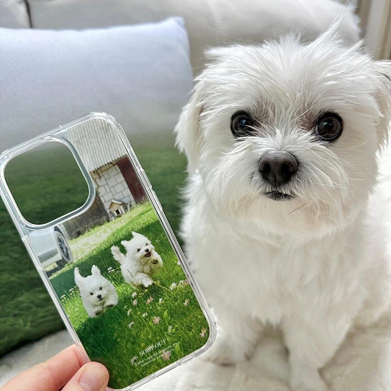 [duet puppy running jelly hard case] 강아지 말티즈 동물 봄 여름 폰케이스