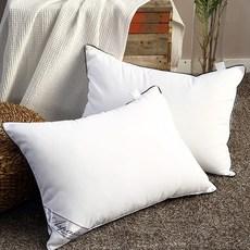 아임리빙 중량업 블랙라인 호텔용 마이크로필에버 베개솜 지퍼형 2p세트