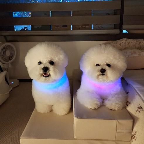 울트라웨이브 안전한 야간산책 메이트 오로라LED목걸이 - 인식표/목걸이 | 쿠팡