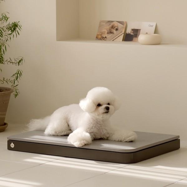 Pet Cool Mat (2 Color)