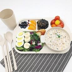 비씨치 밀집 어린이 성인 간편식 식판 6종 세트