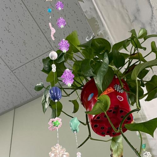 비와이에스 선캐쳐