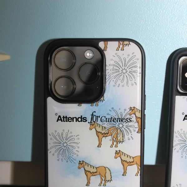 Fireworks Case