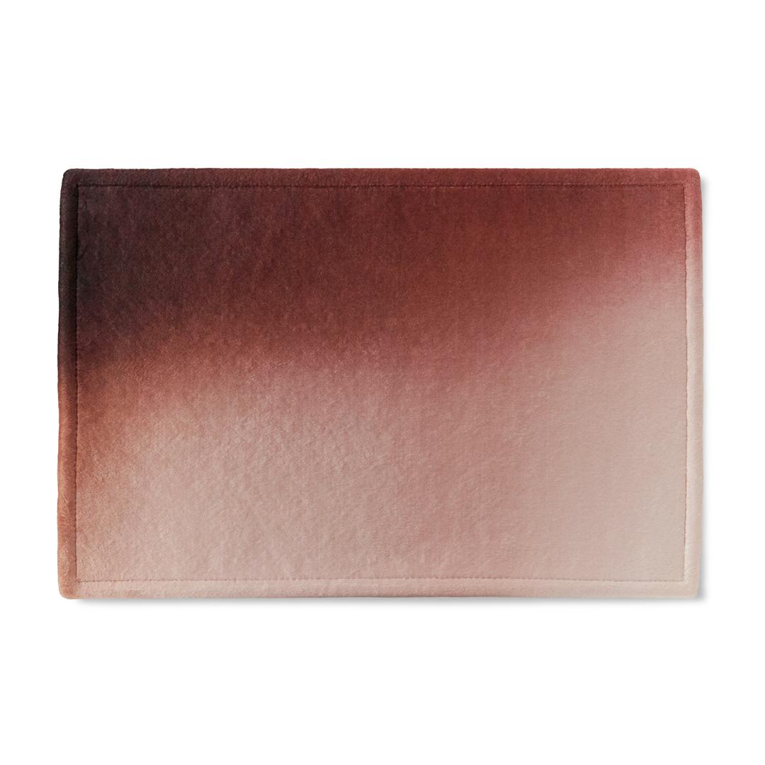 FEB 7 PM8:24 door mat