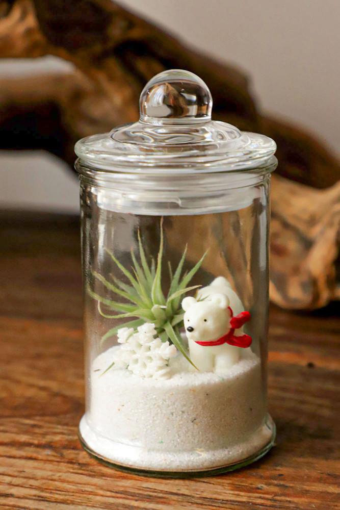 지구를살리는 북극곰 틸란드시아 유리 테라리움 DIY키트 선물 실내공기정화식물 미세먼지제거