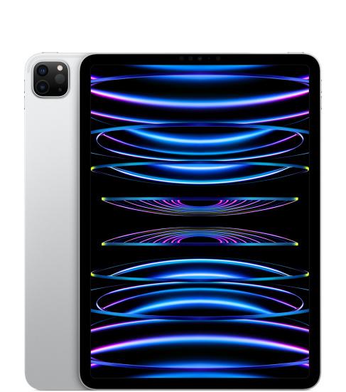 11형 iPad Pro Wi-Fi 256GB - 실버