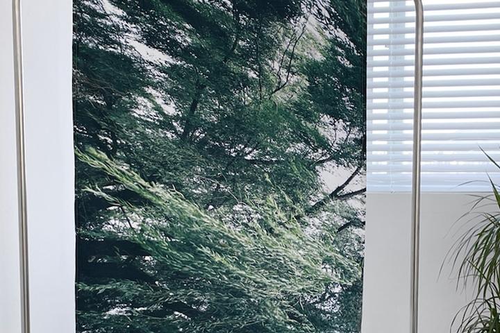 HOKMA GIM작가, 자연의 풍경을 담은 작품, Dancing willow 패브릭 포스터