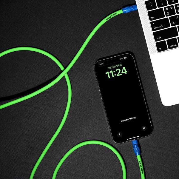 C to C 초고속 실리콘 충전 케이블