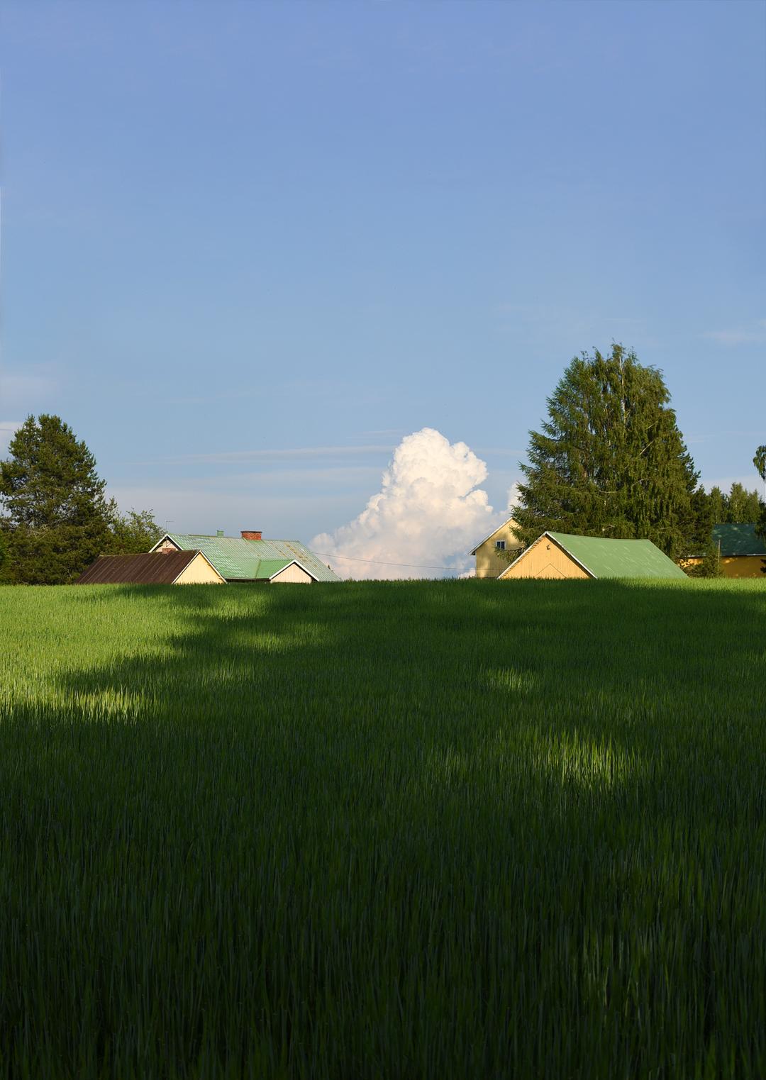 [New] Summer, Finland #1