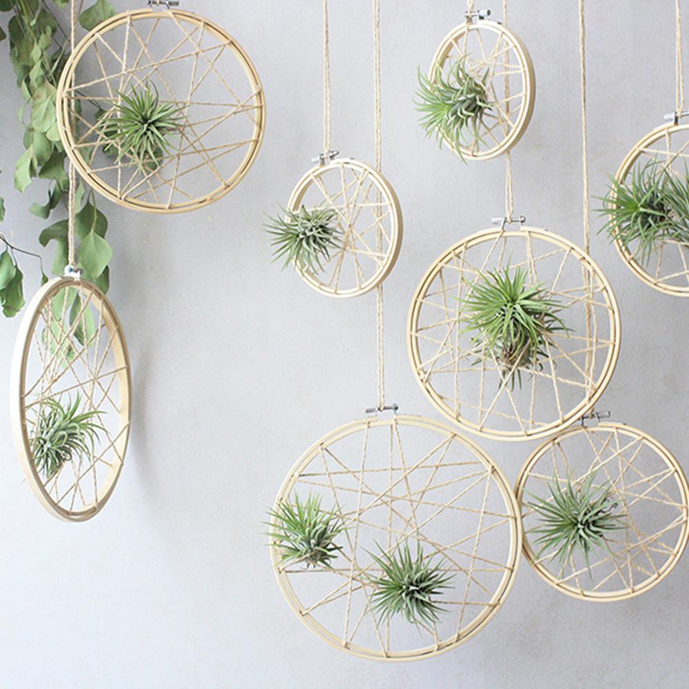 행잉플랜트 공기정화식물 틸란드시아 대나무틀 집들이선물 플랜테리어