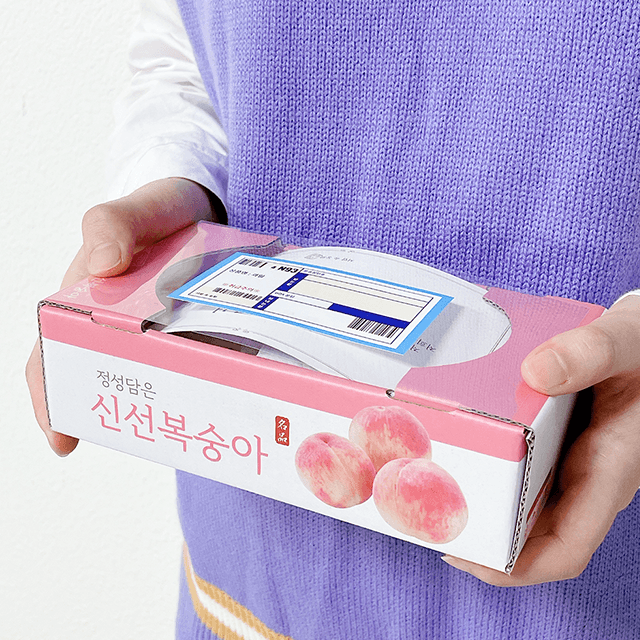 미니 과일 뇌물 박스 [부모님 용돈 생신 생일 이벤트 어버이날 설날 추석 선물 상자]