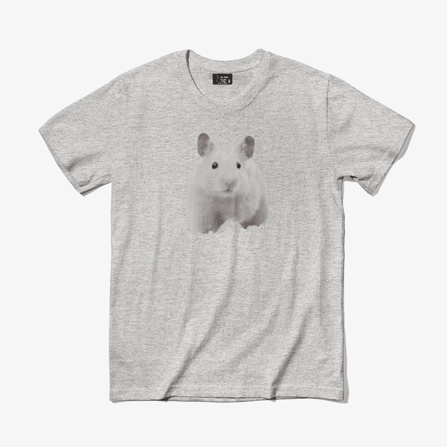 햄스티 HAMSTEE 황당햄스티  ㅣ 마플샵