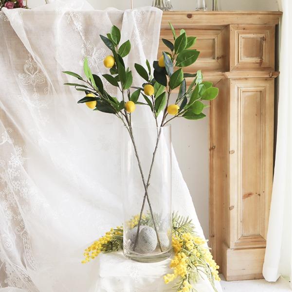 레몬나무 가지(BC041)