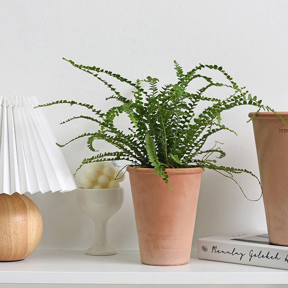 이브 룽고팟 이태리토분 빈티지 화분 ev 토분 아레나 15호