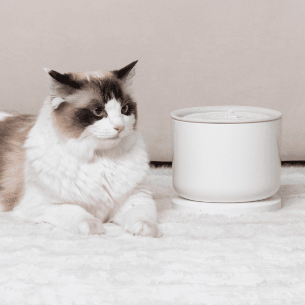 [NEW] 스마트 정수기 웰리[보호케이스 기본포함]