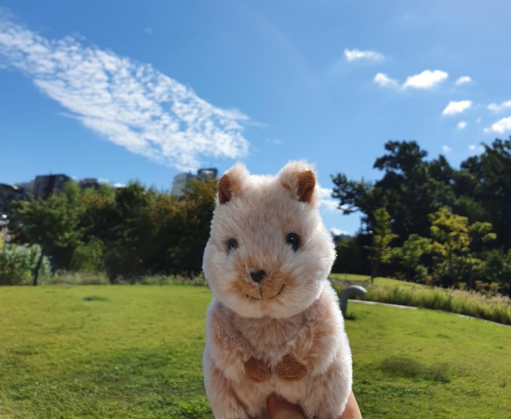 행복한 아기 동물 애착 인형 선물 선레몬 플러피 애니멀 쿼카 고슴도치 수달 양 펭귄 해달 복어 참치 범고래 병아리 레서판다