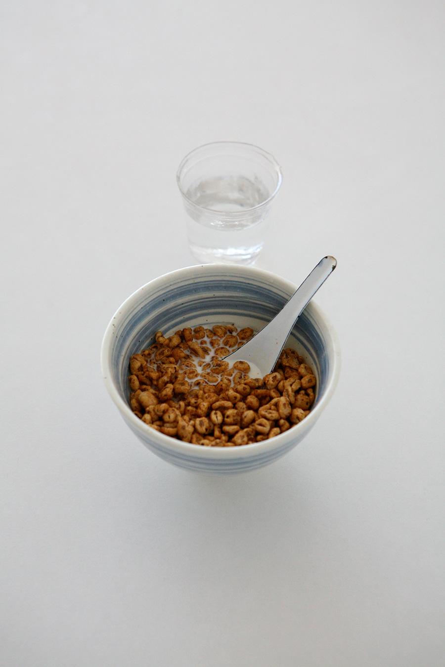 Negoro 덮밥 기