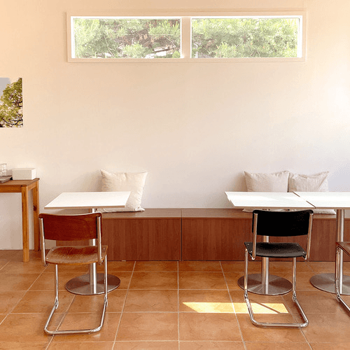 [트루베퍼니처] 감각 1200 낮은 벤치 수납장