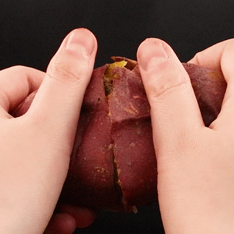 ★한정수량 오픈특가★ 미친듯한 꿀당도! 해남 벌꿀 고구마 3kg 5kg (특상,대,한입)