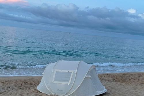 뮤즈 원터치 팝업 텐트 M