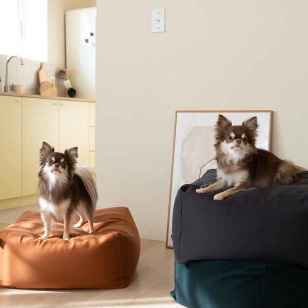 Beanbag (3 Color)