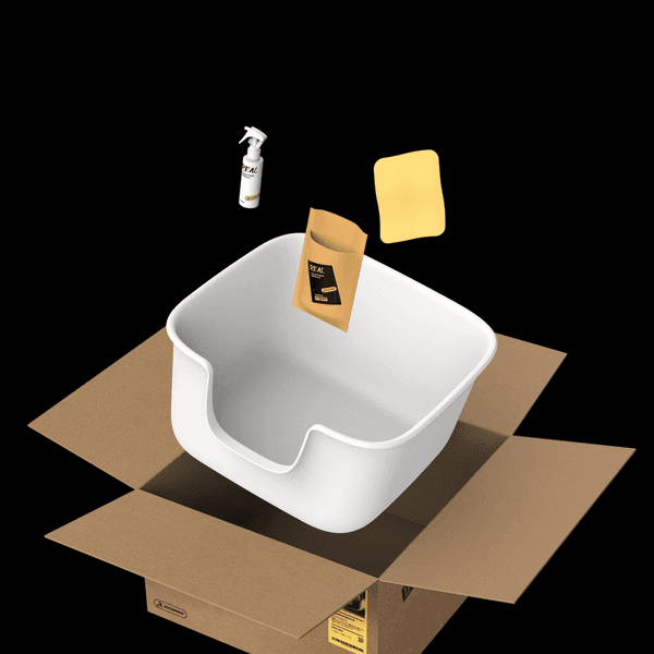 'REAL' COATING BOX