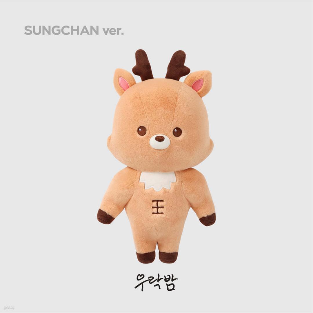 [2024 RIIZE FANCON `RIIZING DAY FINALE` 2nd MD] 40CM DOLL [성찬 ver.]