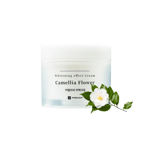 퓨어라이트 카멜리아 미백크림, 50ml, 1개 - 페이셜크림 | 쿠팡