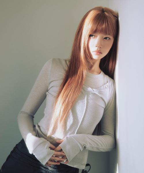 Layered line sheer long sleeve GREY