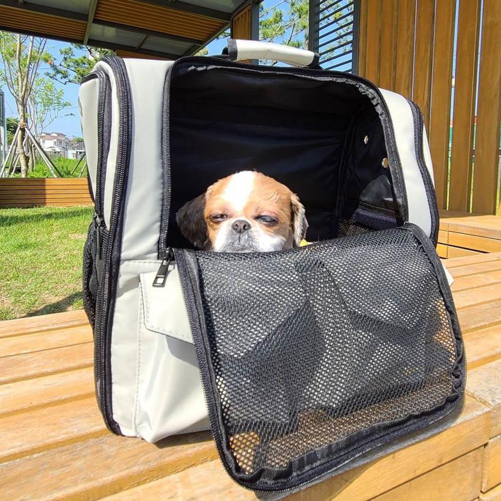 강아지백팩 애견 이동가방 앞가방 케이지 산책가방 고양이이동장 반려동물 캐리어