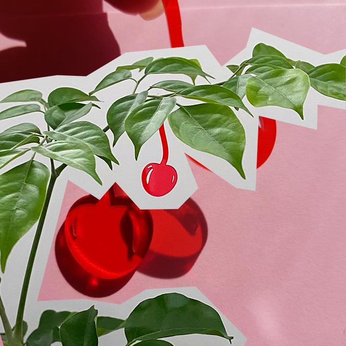 cherry on top keyring