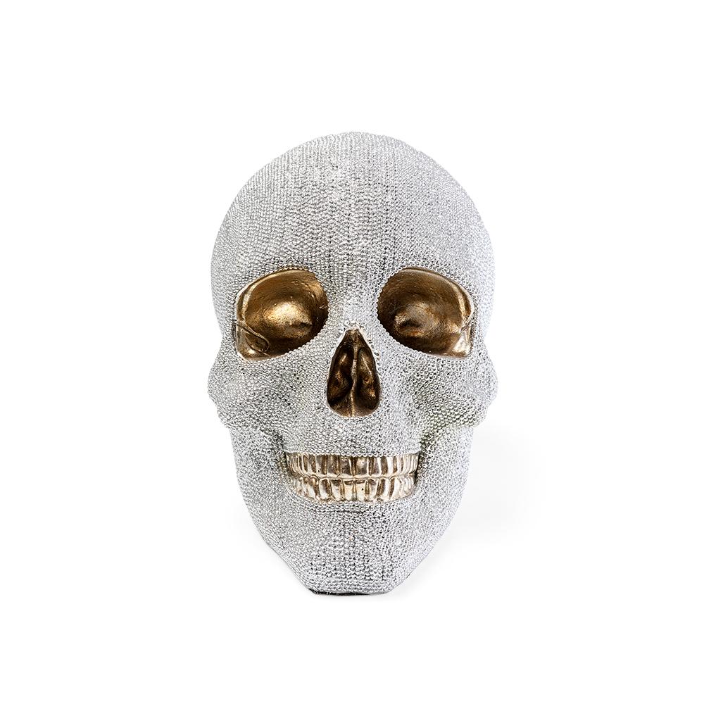 Money Box Skull Crystals