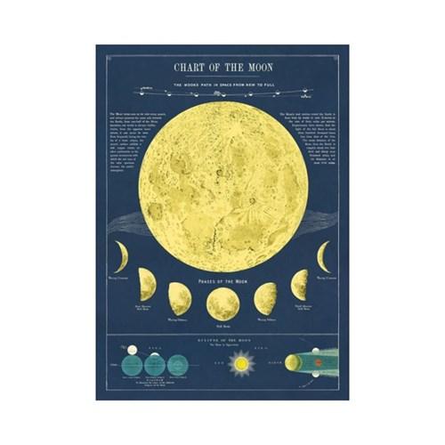 카발리니 포스터-Moon Chart