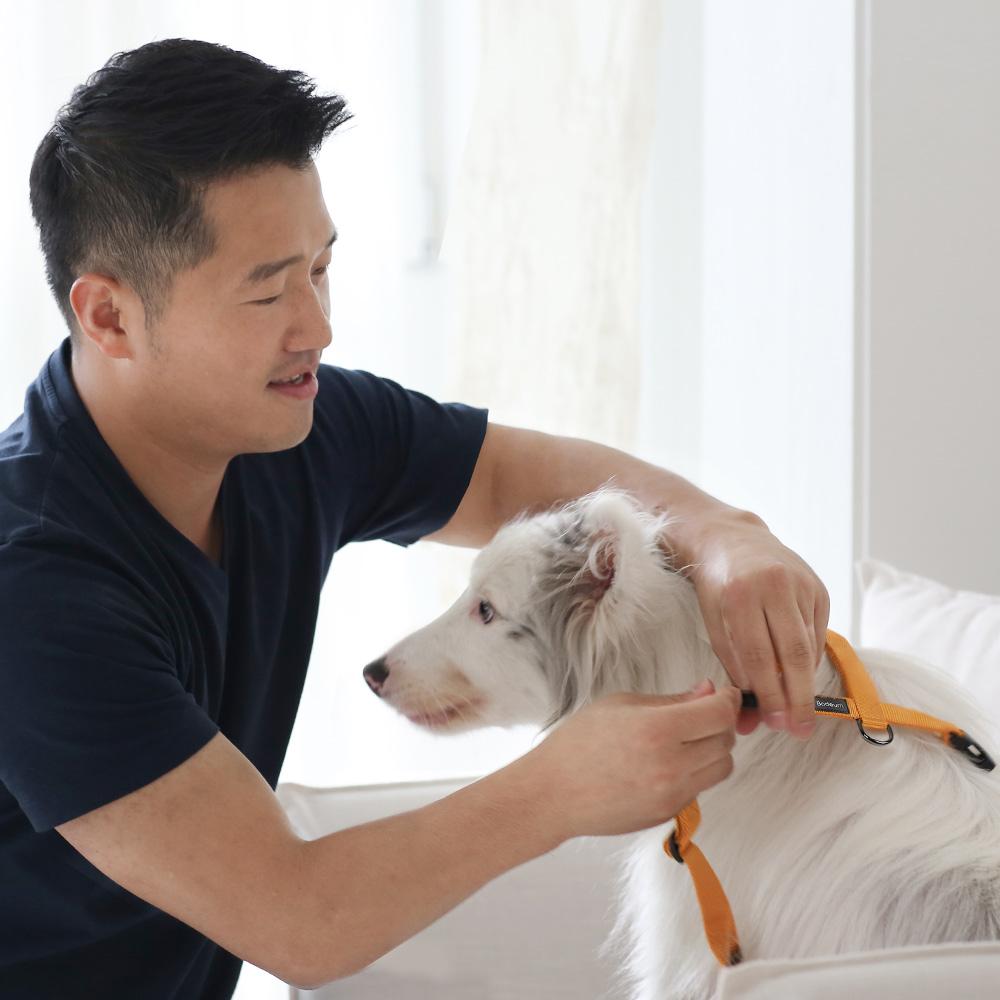 보듬 가슴줄 어드벤처 라인