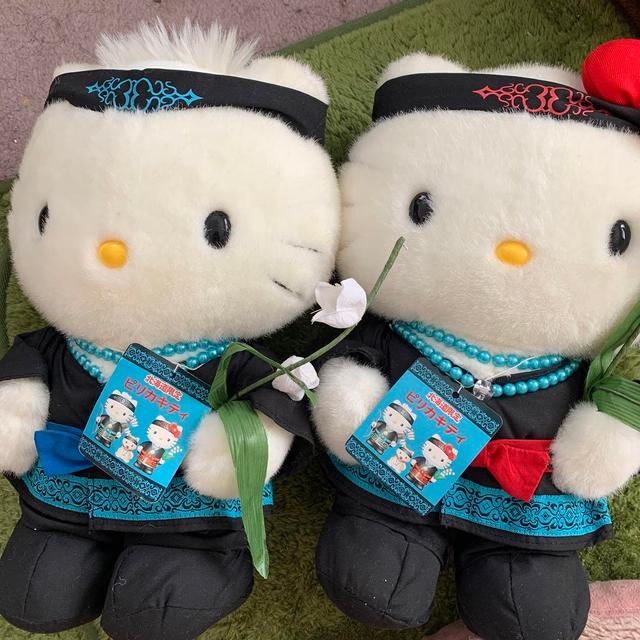 산리오 ハローキティ ぬいぐるみ メロンパン - 위시버킷