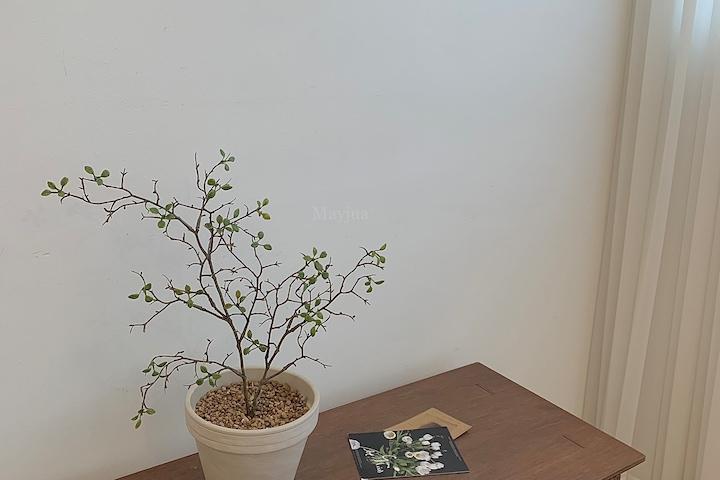 [10%쿠폰]감성 인테리어 마오리코로키아 소포라 조화가지 나무 단품 화분set 2size