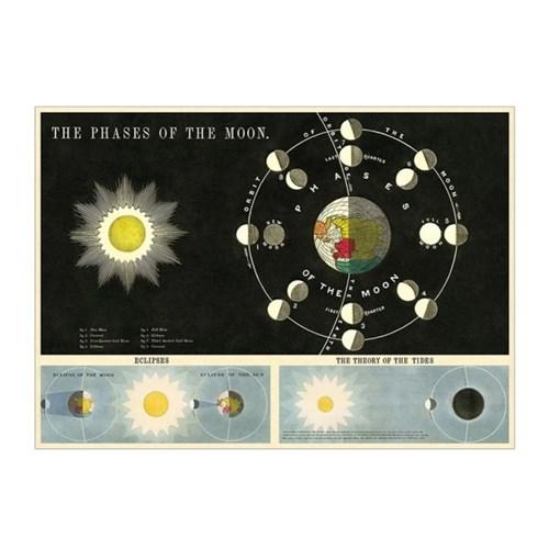 카발리니 포스터-Phases Of The Moon