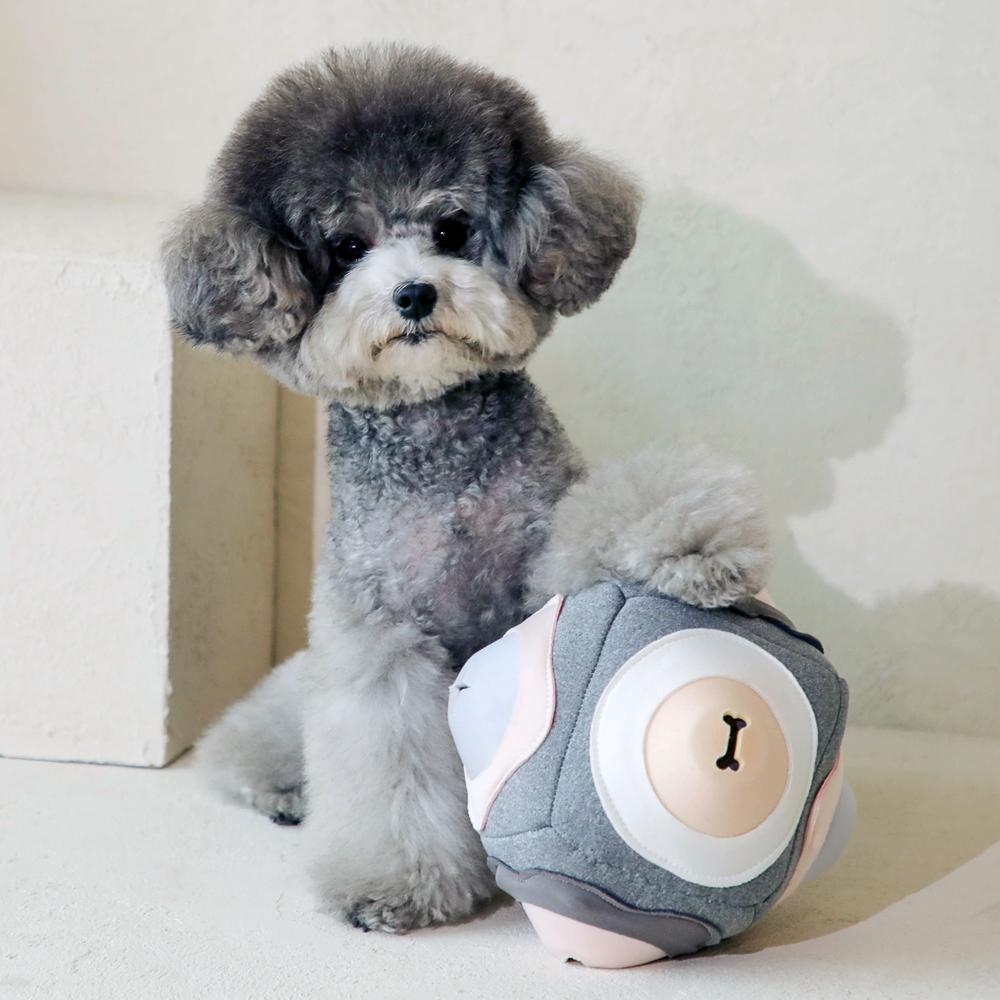 강아지 노즈워크 장난감 킁킁볼3.0