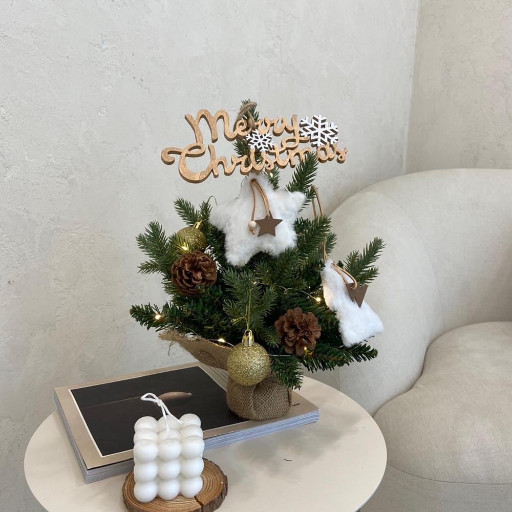 미니트리 무장식 트리 30cm 크리스마스 트리 PE혼합 기본 탁상 소형