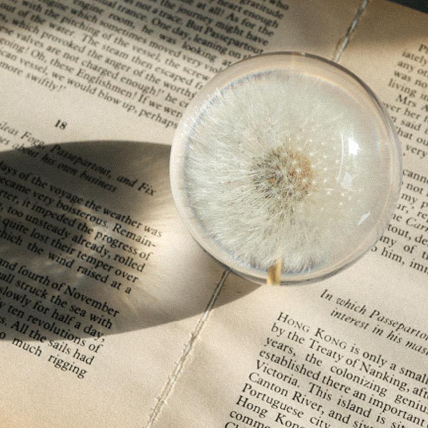 플라워문진 투명 구슬 오브제 집들이 선물 민들레