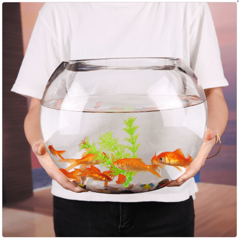 물고기 유리 둥근 어항 미니 수초 어항, 대형+(﻿자갈+수초+조개+소라)