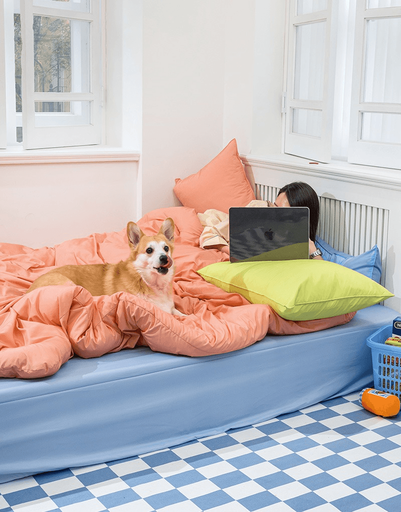 위드 M2 알러지케어 항균 차렵이불 단품/세트 (SS/Q) 코랄