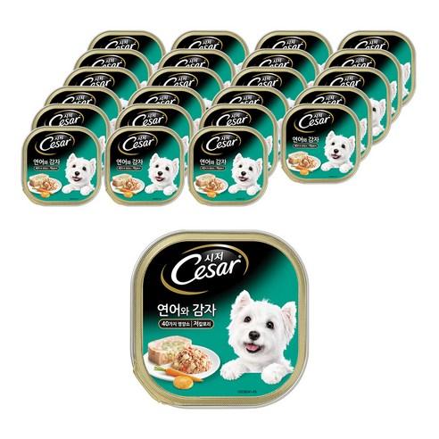 시저 전연령용 주식캔, 연어와 감자 (1세..., 100g, 24개 - 습식사료 | 쿠팡