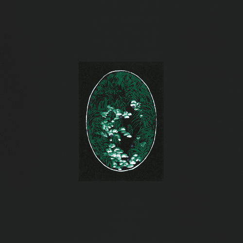 이수진 green pool 푸른 풀 W3