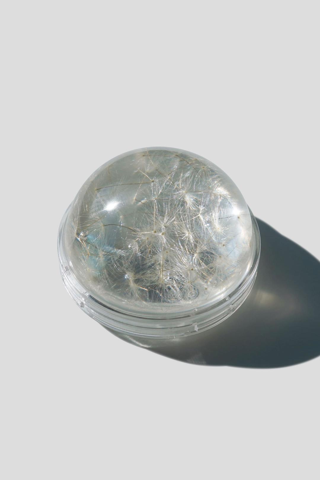 민들레 홀씨 그립톡