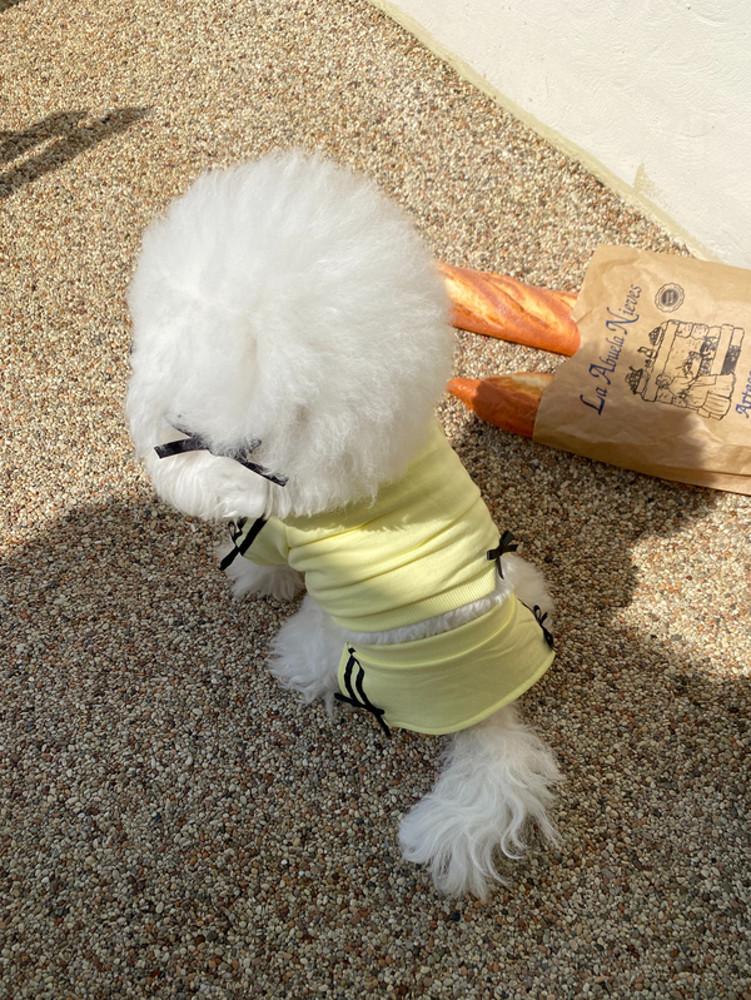 강아지 치마 쭈리면 미니스커트 캔디코어 트레이닝복s