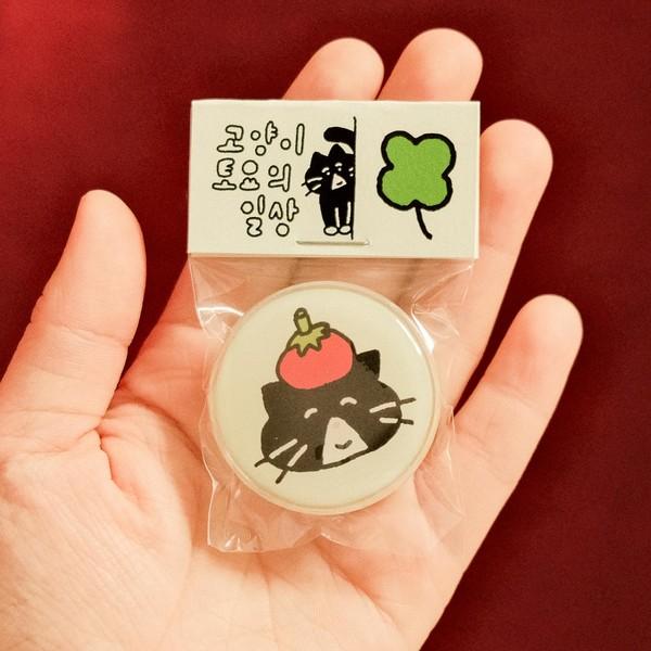 ✤ 고양이 토요의 일상 tok ✤