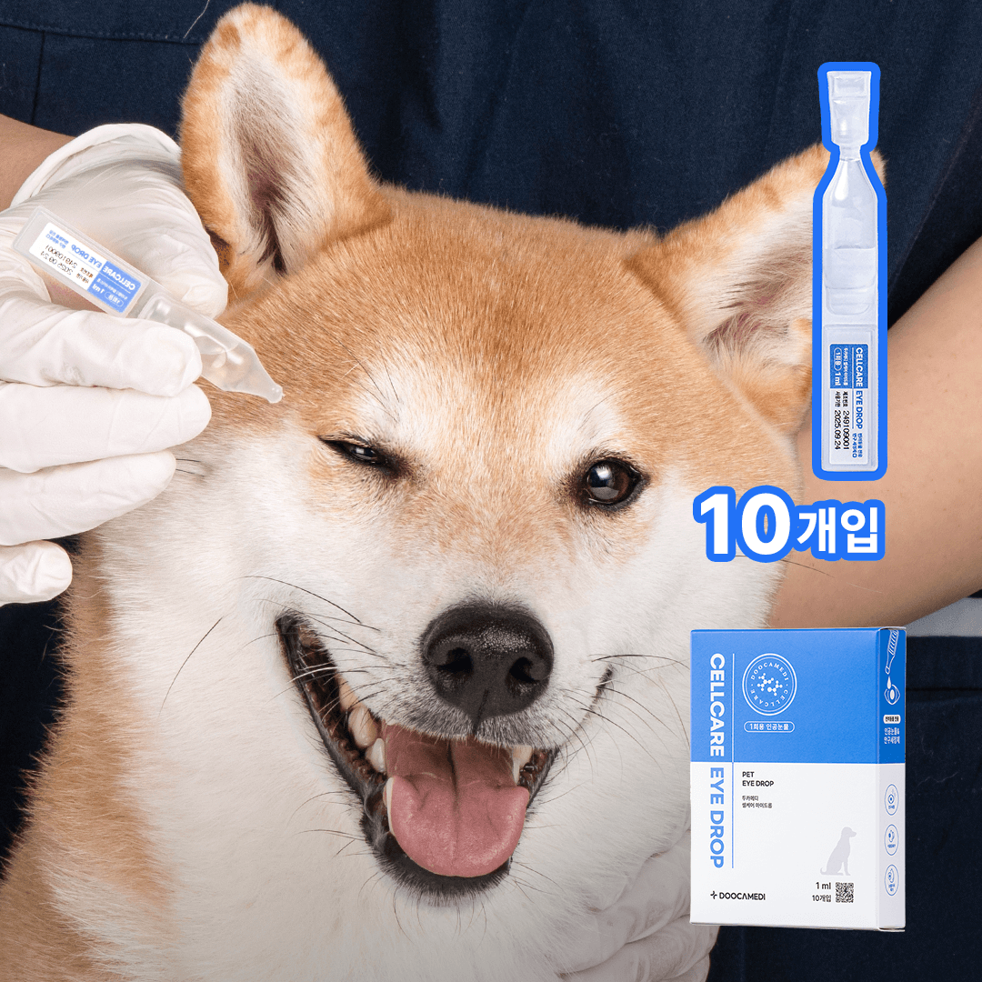 두카메디 셀케어 아이드롭 일회용(인공눈물) 1ml*10개